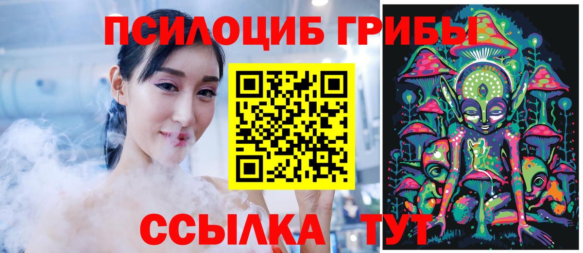 Асино  Псилоцибиновые грибы Psilocybe  Вход с VPN  Псилоцибиновые грибы Psilocybe 